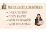 be your reliable data entry virtual assistant